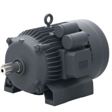 lubi 5Hp